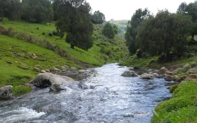 3 Days Bale Mountains, Sanetti Plateau & Harenna Forest Trekking Tour