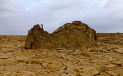 5-Day Expedition to The Danakil Depression, Dallol & Lake Asale